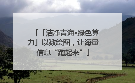 「洁净青海•绿色算力」以数绘图，让海量信息“跑起来”